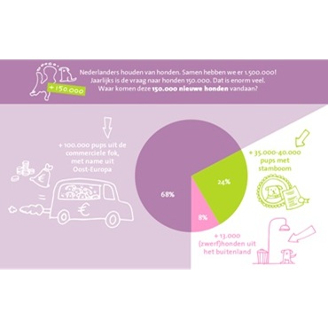 Infographic hondenpopulatie in Nederland